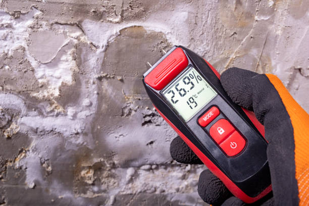 Best DIY Mold Remediation Support Services in Gaylord, MN